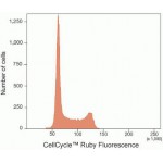 Cell Cycle PI/RNAse Stain (100 rxns)