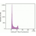 Cell Cycle Blue Stain (100 rxns)