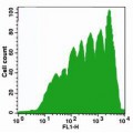 CFSE Cell Proliferation Kit (1000 rxns)